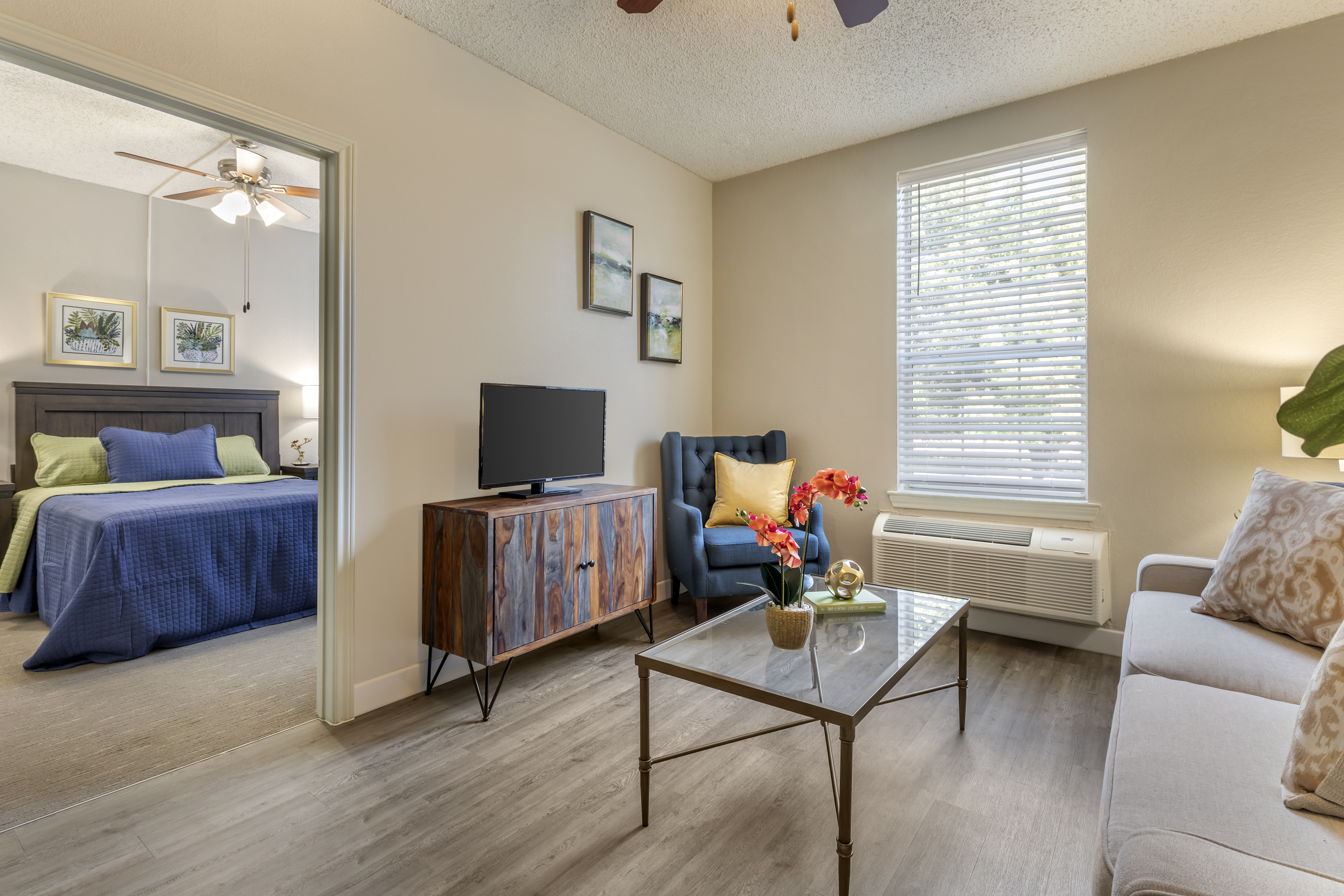 lake-brazos-apartment