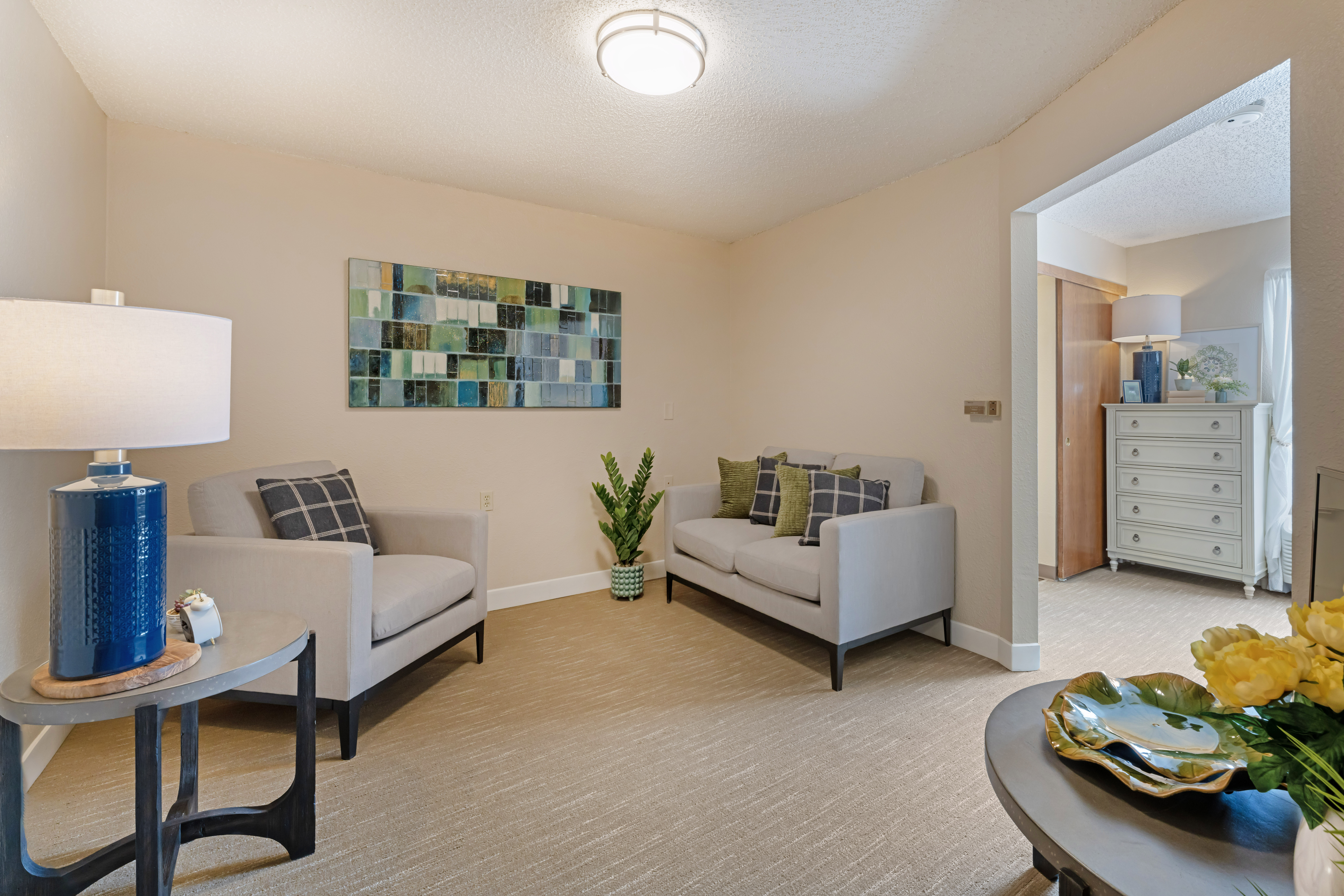 Brookdale Salina Fairdale Apartment Living Room Brookdale Salina Fairdale Apartment Living Room