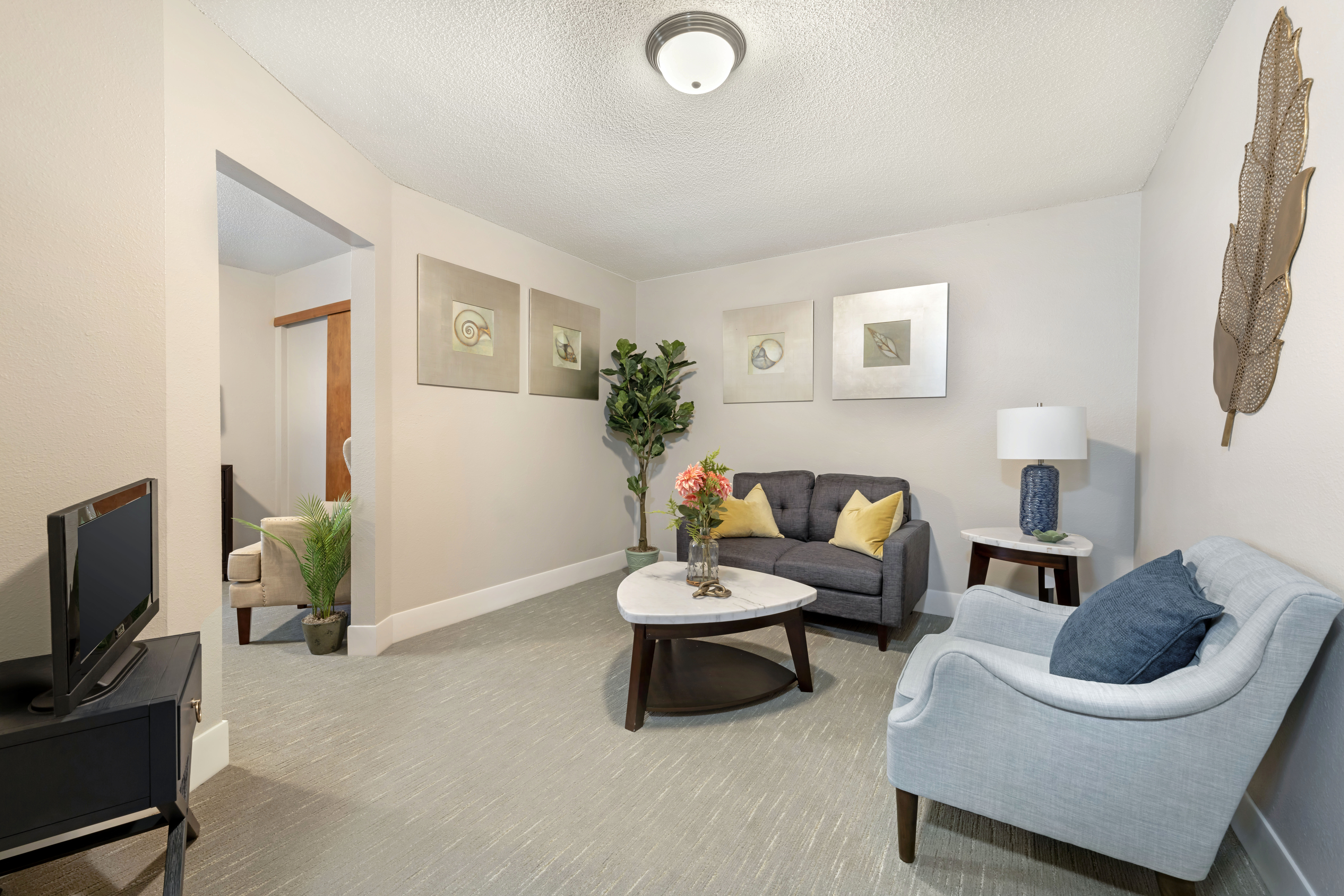 Apartment Living Room