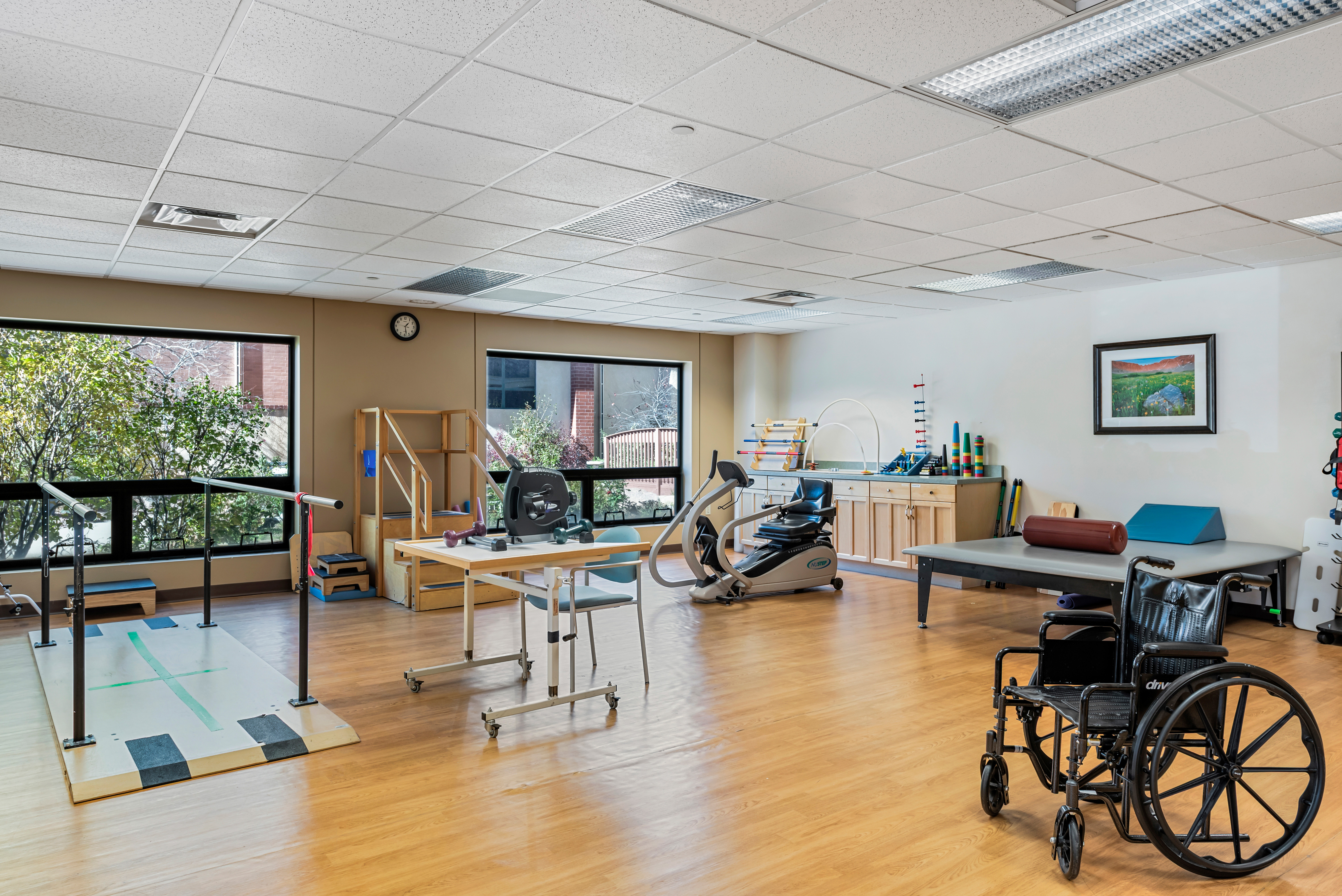 Physical Therapy