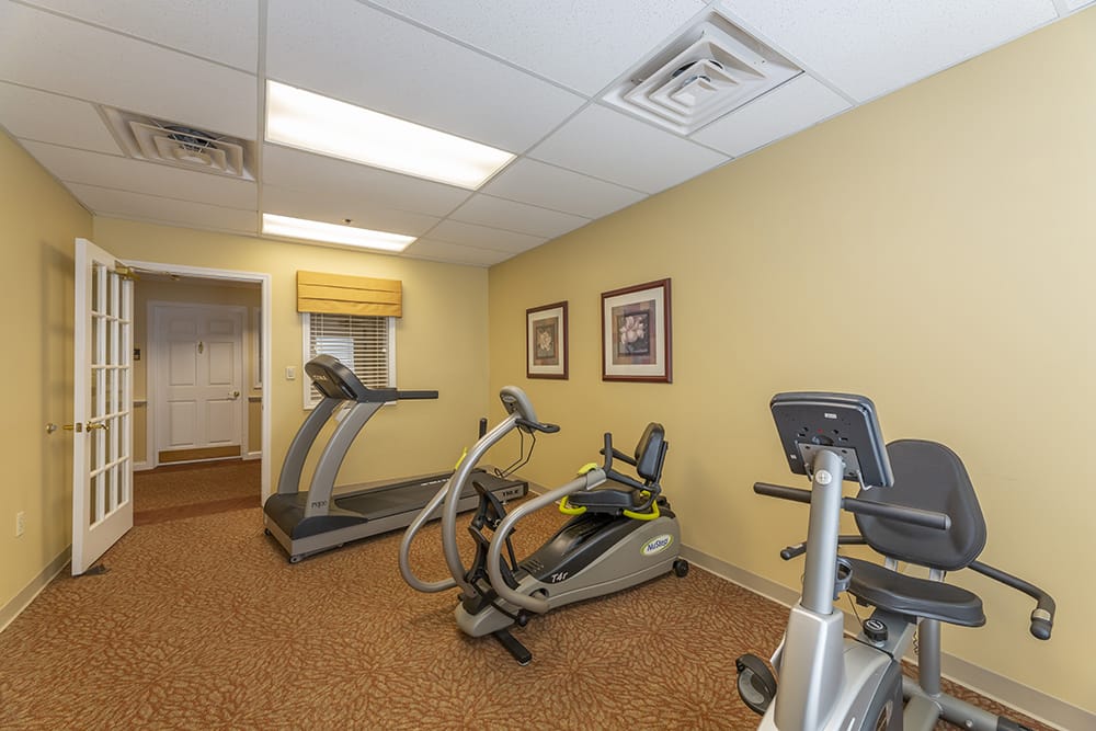 Physical Therapy