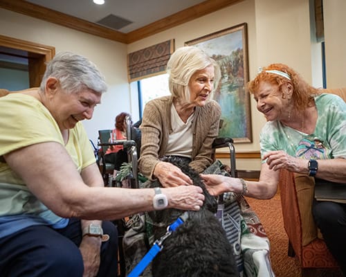 caregiver shaking hands with woman